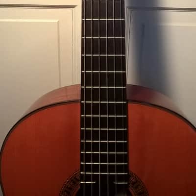 Alvarez Professional Series Model 5202 Classical Guitar -- Mint Condition; w/ SKB Hard Shell Case image 3