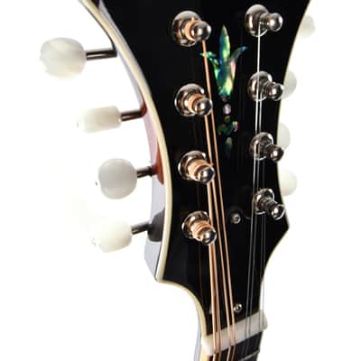 Sigma Guitars MA-6E Mandoline Sunburst image 2
