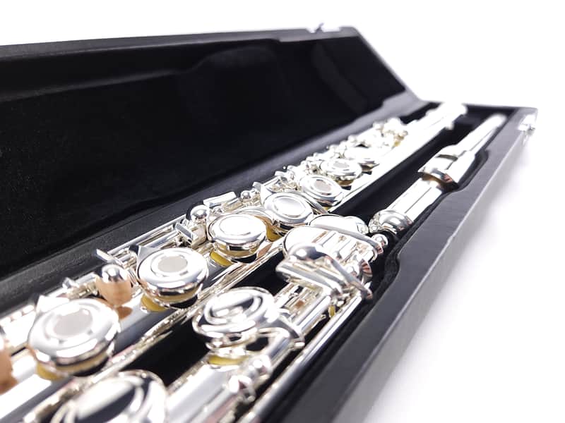 Di Zhao DZ 701 Flute Open Hole B Foot Split E Sterling Silver Pre-Pro NEW image 1