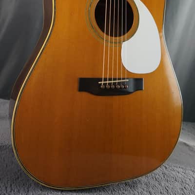 Morris W-35 Special Japan Acoustic Guitar image 1