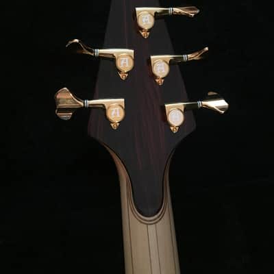 Alembic Exploiter Custom Coco Bolo 5-string bass image 10
