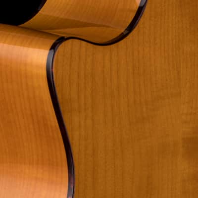 Taylor Custom Select 414ce Big Leaf Maple/Sitka Spruce, Tort Binding #73049 image 9