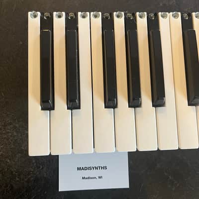 26 Replacement Keys BUNDLE (TP/9 Keybeds) for Nord Lead/Wave/Modular G2, Moog Minimoog (reissue), Voyager, Korg Prophecy, Novation Bass Station II, Ultranova, Waldorf Q/Q+, Micro Q, and more image 1