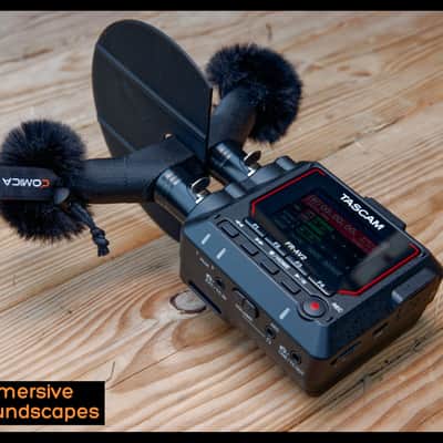 EARSIGHT The One (for Tascam FR-AV2) - Stereo field recording microphone image 1