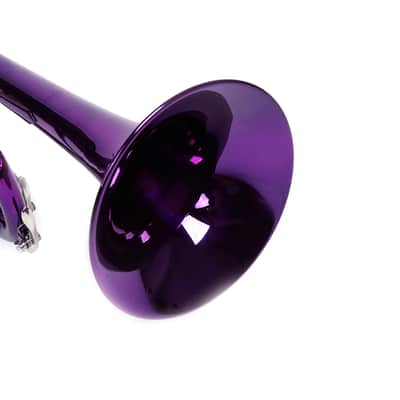 Cxxss Brass B Flat Trumpet Violet image 17