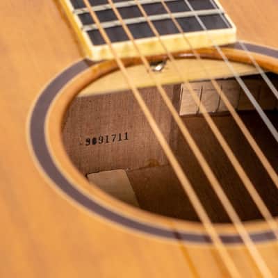 Daion MUGEN Mark II - Six String Acoustic image 24