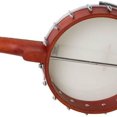 Epiphone MB-100 Banjo image 8
