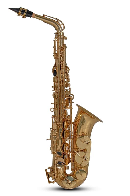 Roy Benson AS-202 Alt Saxophon image 1