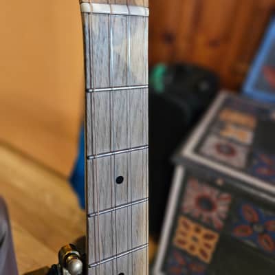 Pisgah Possum 5 String Open Back Banjo 2020 - Walnut image 11