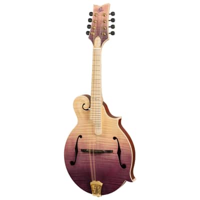 Ortega RMF200PF Americana Series F-Style Solid Flamed Maple Top Maple Neck 8-String Mandolin w/Croco Leather Case image 6