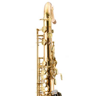Yanagisawa TWO20 Professional Bb Tenor Saxophone in Lacquered Bronze SN 00399487 image 7