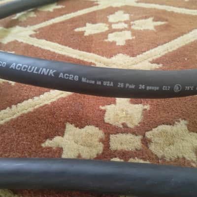 24 Channel Snake XLR to TRS 40' feet image 3
