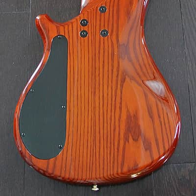 TUNE Supernova Zi742 - BSB - 4 String Active Bass - Nightwood - NEW Sale Priced!! image 6