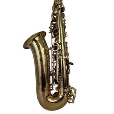 Selmer Super Action 80 Series II Alto Saxophone FRESH SETUP image 19