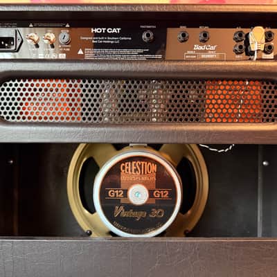 Bad Cat Hot Cat 45 Combo Amp - 2-Channel 45-Watt 1x12" Guitar 2022 - Present - Black image 8