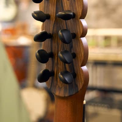 Artimúsica Traditional Luthier 10 String "Viola de Arame" Madeira image 15