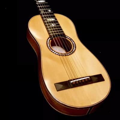 Blueberry Handmade Acoustic Travel Guitar image 1