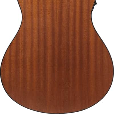 Ibanez AAM54CEOPN Advanced Auditorium Acoustic Electric Guitar - Natural image 2