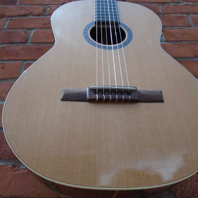 Godin Collection Nylon SF Guitar w/hard case image 3