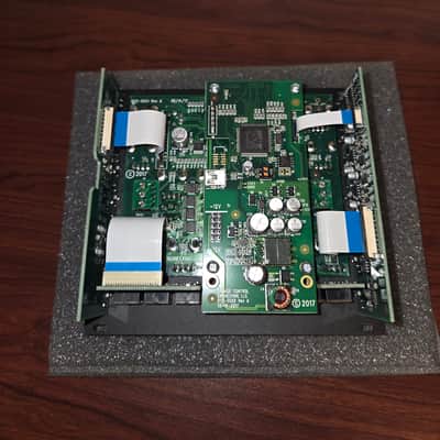 Strymon Magneto Four Head dTape Echo and Looper Eurorack Unit | Reverb