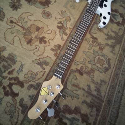 Customized Microtonal Glarry P Bass inspired by Angine De Poitrine image 7