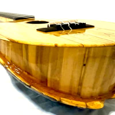 Turtle Shell Tenor Ukulele image 12