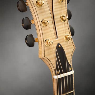 Schneider Guitars / The SoHo17 image 15