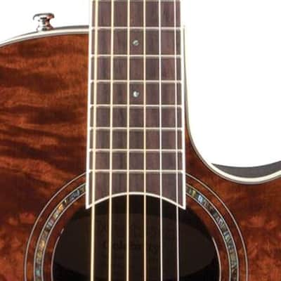 Ovation Celebrity Plus Acoustic-Electric Guitar - Nutmeg Burled Maple image 3