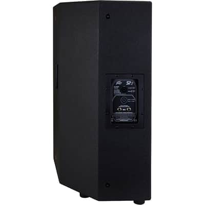 Peavey SP 2 2-Way 15" Speaker Regular image 5