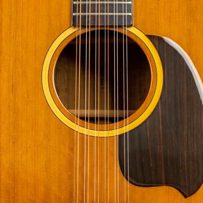 Daion MUGEN Mark I / 12 String w/ Factory Transducer Pickup image 4