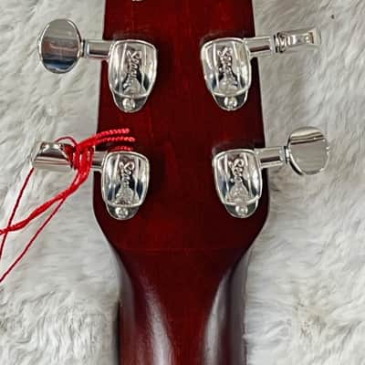 Seagull Entourage Autumn Burst Dreadnought Size Solid Top Acoustic Guitar 046492 image 6