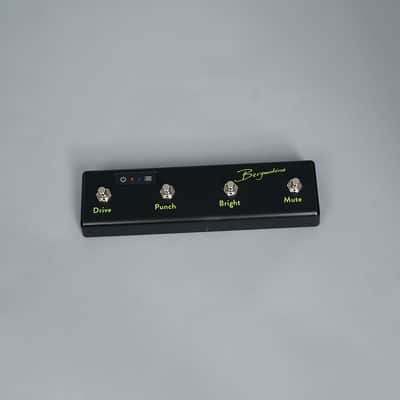 Bergantino Fortè HP Bass Head image 5