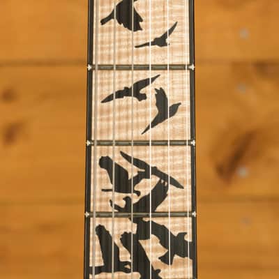 PRS Custom 24 Birds of a Feather LTD - Honey Gold image 8