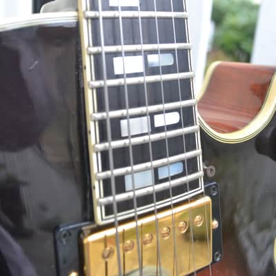 Immagine Polytone Improv I Archtop Jazzbox - RARE - Japan - 8