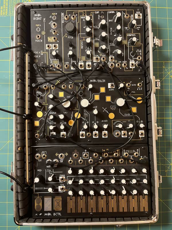 Make Noise 0-Coast + Strega + 0-CTRL Complete System in Discontinued Travel Case — Excellent image 1