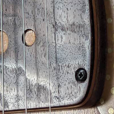 Ray Vincent Shell back guitar 2023 - Shellac and oil image 20