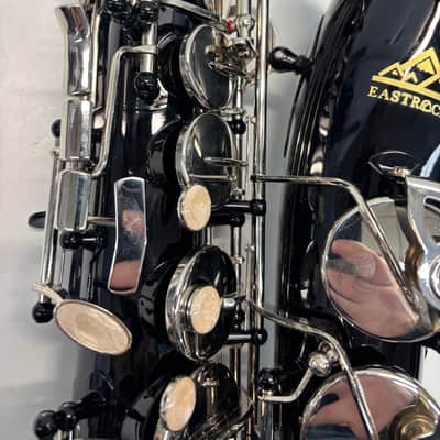 EastRock Black/Golden Alto Saxophone E Flat Sax Full Kit - Black Gold image 3