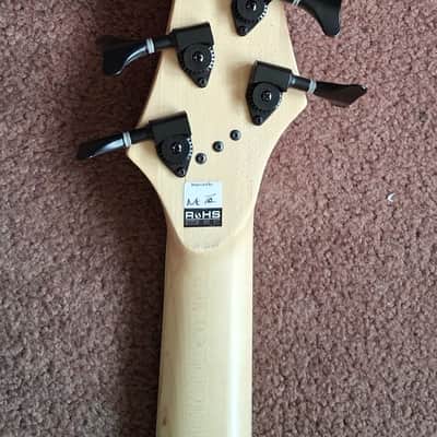 Dingwall John Taylor Signature JT5 5-String Bass image 5