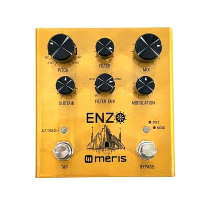 Meris Enzo Synthesizer Pedal "Free Shipping in the USA" image 1