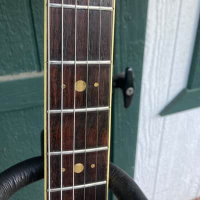D'agostino Star Guitar 1980s image 8