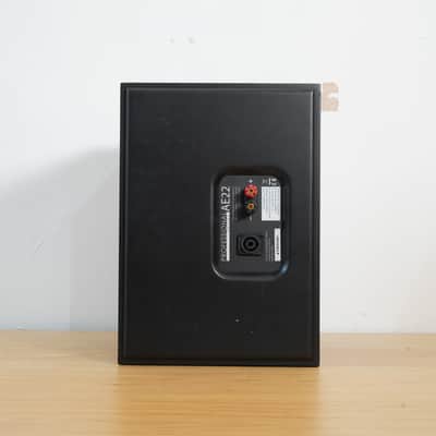 Acoustic Energy AE22 Passive Monitor (Single) image 4