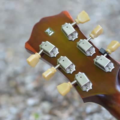 Eastman T59/TV - Vintage Amber image 8