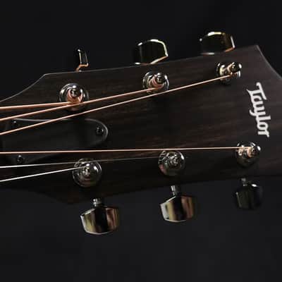 Taylor 210ce Walnut Acoustic-Electric Guitar 314 image 4