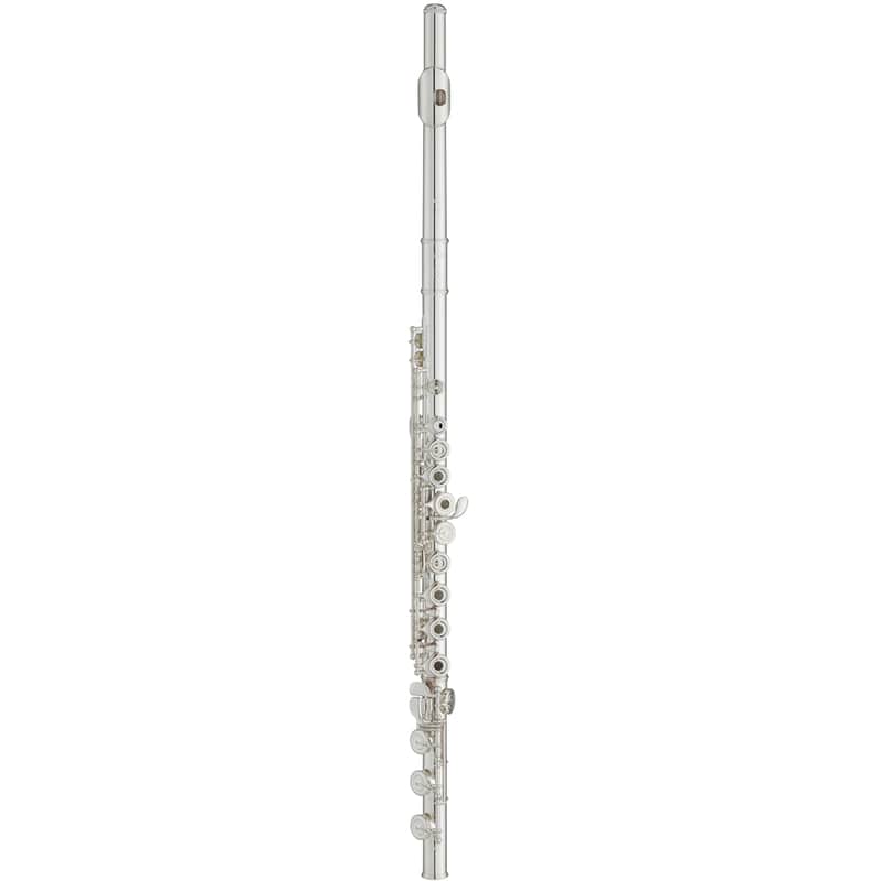 Yamaha YFL-A421BII Professional Alto Flute with Straight and | Reverb