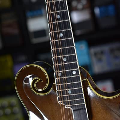 Lebeda F4 Standard Mandolin 2004 image 5