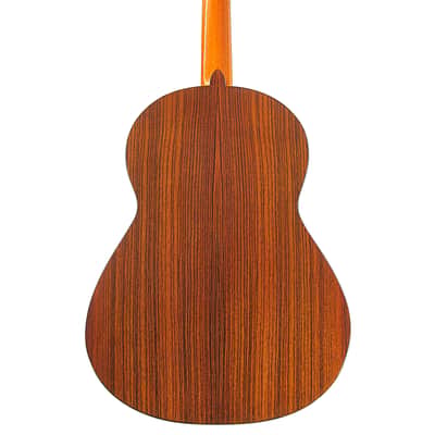 Thorsten Sven Lietz 2015 Torres style - amazing sounding classical guitar - handmade in Germany - check description + video! image 5