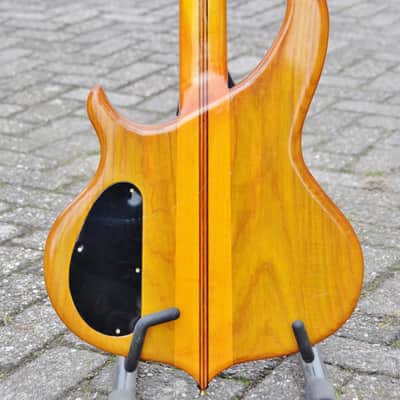 Charlee Le Grecque 1992 - Amberburst image 6