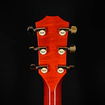Taylor Doyle Dykes Signature Model w/ Sitka Spruce Top & Big Leaf Maple Back and Sides Acoustic/ Electric- Translucent Orange 2026 (1203096085) image 8