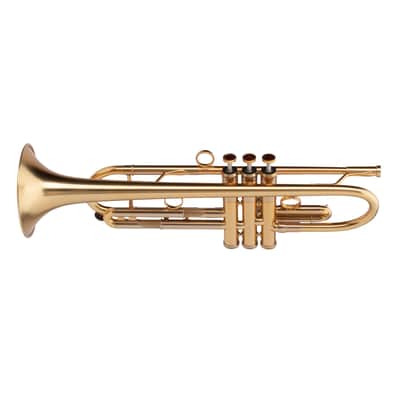 Adams A1 Bb Trumpet - Satin Gold Lacquered image 6