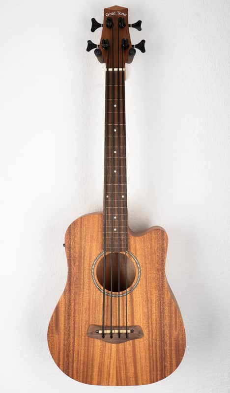 Gold Tone GT Series Micro Bass image 1